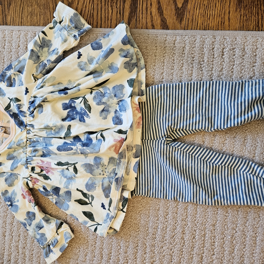 Burt's Bees Baby Floral Top and Striped Pants Set